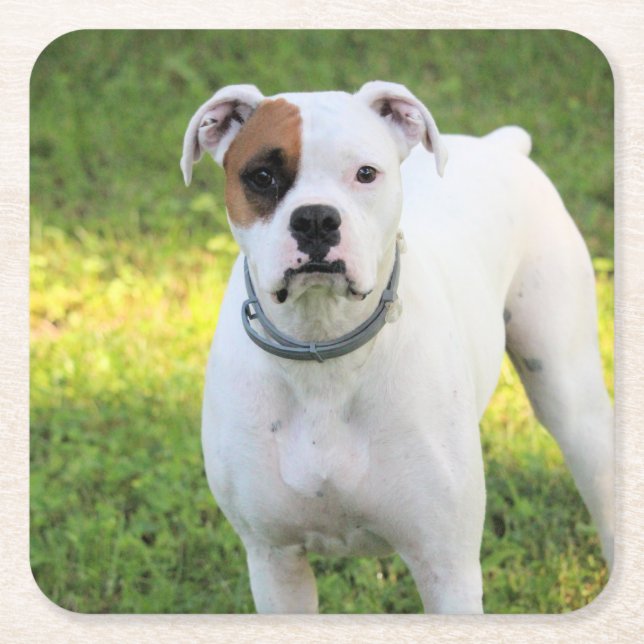 Posavasos Cuadrado De Papel Boxeador (Anverso)