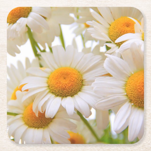 Posavasos Cuadrado De Papel Bright Summer Daisies Flowers (Anverso)