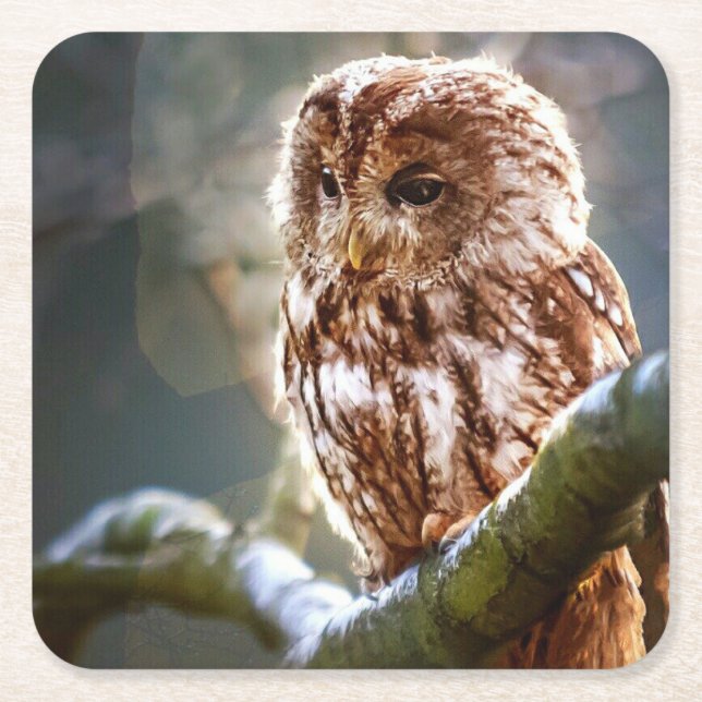 Posavasos Cuadrado De Papel Búho (Anverso)