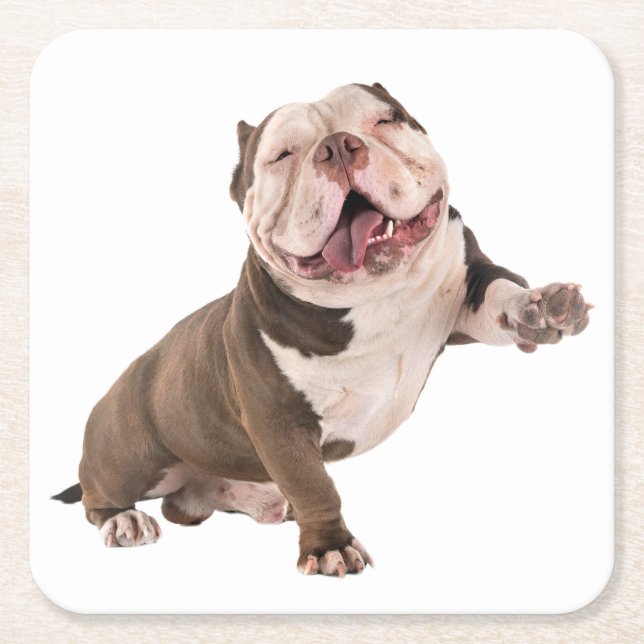Posavasos Cuadrado De Papel Bulldog inglés lindo regalo Perro copioso amante (Anverso)