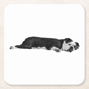 Posavasos Cuadrado De Papel Bulldog perezoso, mesa de Neat
