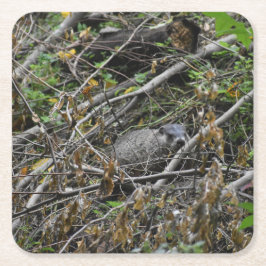 Posavasos Cuadrado De Papel Busy Beaver