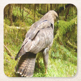 Posavasos Cuadrado De Papel Buzzard buscando grubs Coaster