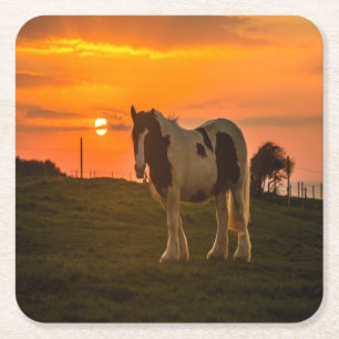 Posavasos Cuadrado De Papel Caballo del atardecer