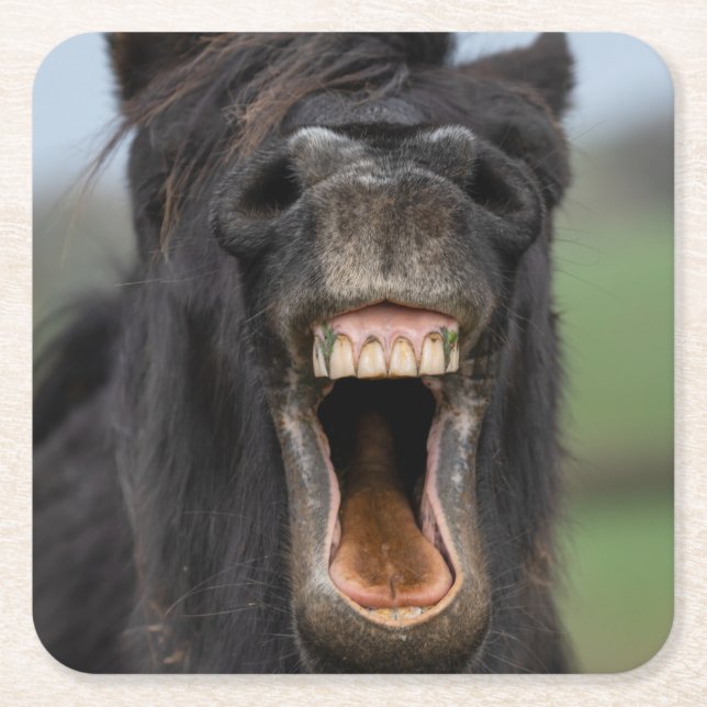 Posavasos Cuadrado De Papel Caballo que muestra sus dientes (Anverso)