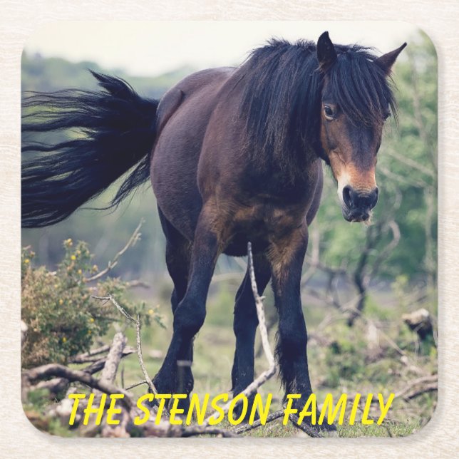 Posavasos Cuadrado De Papel Caballo salvaje de primer orden (Anverso)