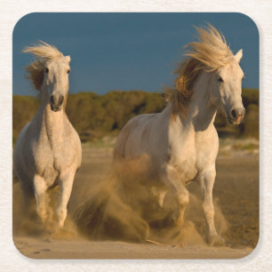 Posavasos Cuadrado De Papel Caballos blancos que corren en la playa el