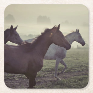 Posavasos Cuadrado De Papel Caballos salvajes