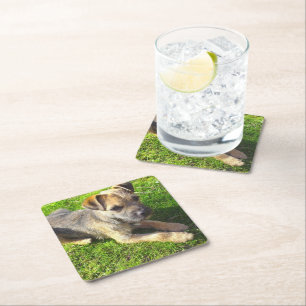 Posavasos Cuadrado De Papel Cachorro