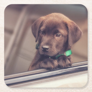 Posavasos Cuadrado De Papel Cachorro De Chocolate En Coche