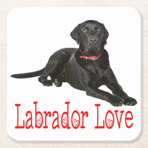 Posavasos Cuadrado De Papel Cachorro de Labrador Retriever Negro Perro Amor Ro