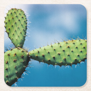 Posavasos Cuadrado De Papel Cactus de Prickley