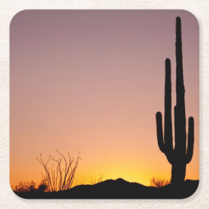 Posavasos Cuadrado De Papel Cactus del Saguaro en la puesta del sol