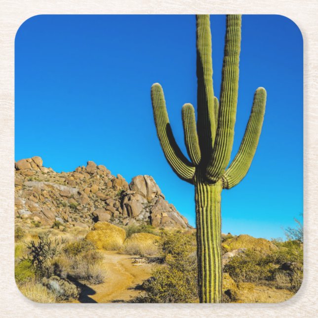 Posavasos Cuadrado De Papel Cactus derecho (Anverso)