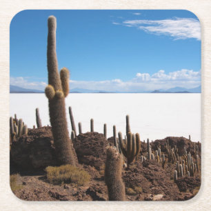 Posavasos Cuadrado De Papel Cactus gigante en el práctico de costa de Salar d