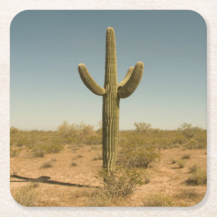 Posavasos Cuadrado De Papel Cactus solitario