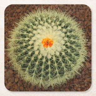 Posavasos Cuadrado De Papel Cactus y Flores