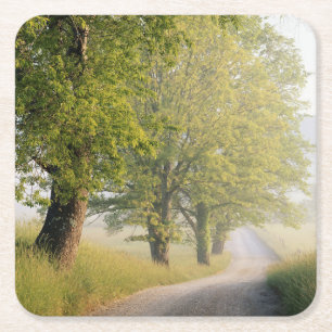 Posavasos Cuadrado De Papel Cades Cove  Grandes montañas Smokey, TN