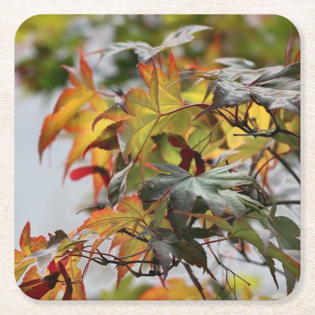 Posavasos Cuadrado De Papel Caída (Anverso)