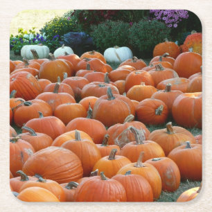 Posavasos Cuadrado De Papel Calabazas y crisantemos Fotografía de la cosecha d