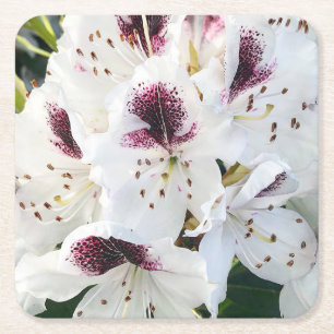 Posavasos Cuadrado De Papel Calsap Rhododendros