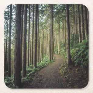 Posavasos Cuadrado De Papel Caminando en las montañas el   Wakayama, Japón