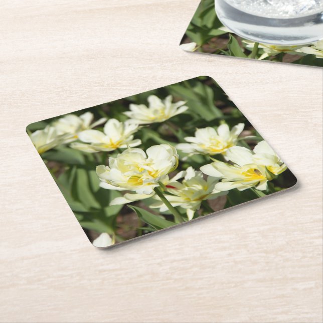 Posavasos Cuadrado De Papel Campo de tulipanes blancos Foto (En perspectiva)