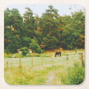 Posavasos Cuadrado De Papel Campo Sueco
