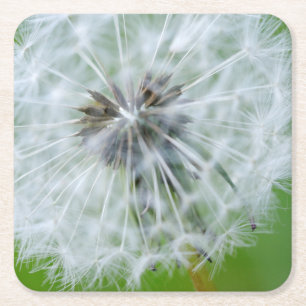 Posavasos Cuadrado De Papel Canadá, Columbia Británica, Vancouver Island 4