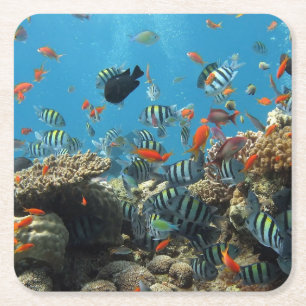 Posavasos Cuadrado De Papel Caos tropical de los pescados