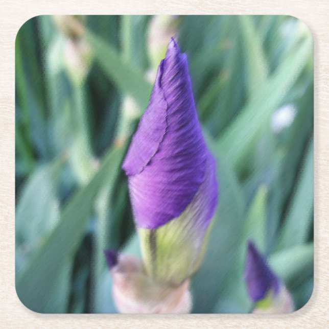 Posavasos Cuadrado De Papel capullo de lirio morado (Anverso)