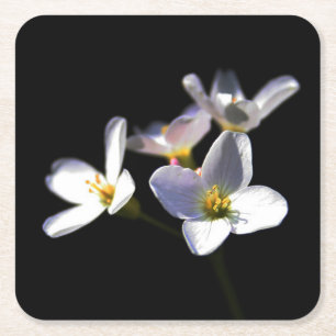 Posavasos Cuadrado De Papel Cardamine Pratensis Flores de coastercnm