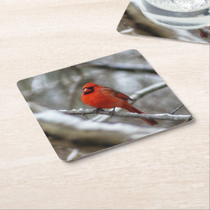 Posavasos Cuadrado De Papel Cardenal masculino