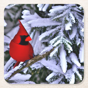 Posavasos Cuadrado De Papel Cardenal rojo invernal