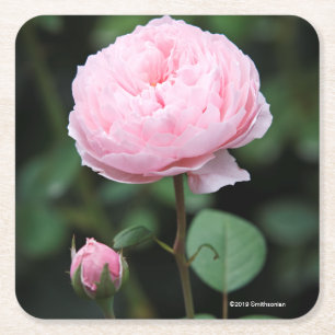 Posavasos Cuadrado De Papel Castillo de Alnwick subió