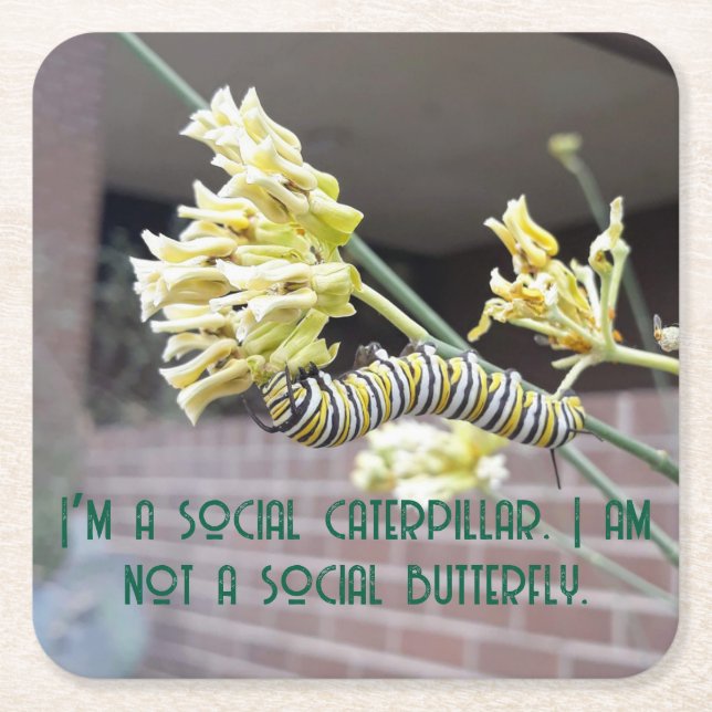 Posavasos Cuadrado De Papel Caterpillar Coaster (Anverso)