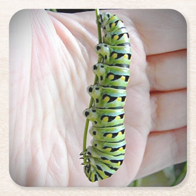 Posavasos Cuadrado De Papel Caterpillar/mariposa (Anverso)