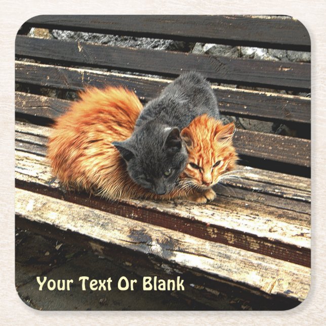 Posavasos Cuadrado De Papel Catnap Cuties (Anverso)