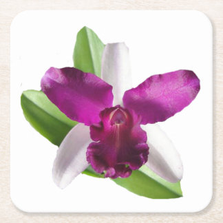 Posavasos Cuadrado De Papel Cattleya Orchid Flower