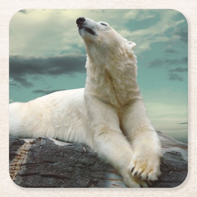 Posavasos Cuadrado De Papel Cazador blanco del oso polar en roca (Anverso)
