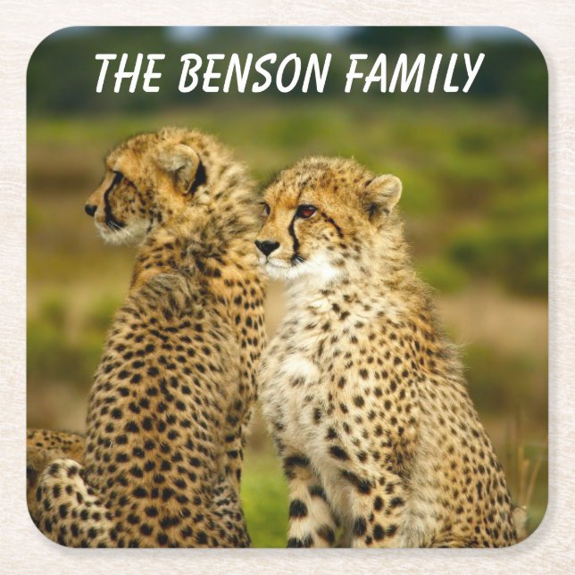 Posavasos Cuadrado De Papel Cerco del Chita Salvaje (Anverso)