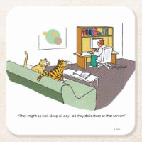 Charla de gato