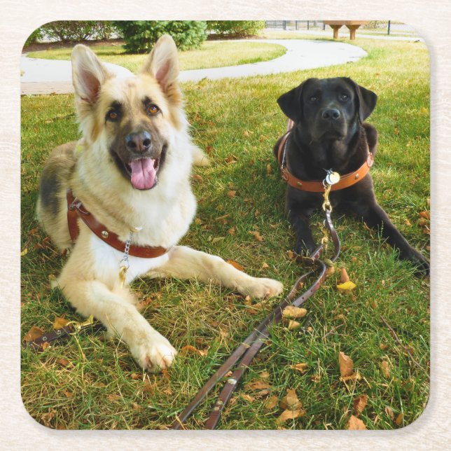 Posavasos Cuadrado De Papel Chicas de trabajo (Anverso)