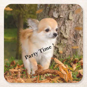 Posavasos Cuadrado De Papel Chihuahua