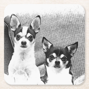 Posavasos Cuadrado De Papel Chihuahua