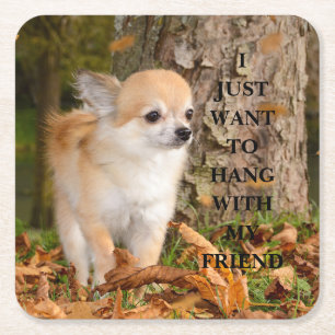 Posavasos Cuadrado De Papel Chihuahua