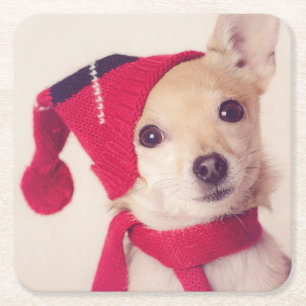 Posavasos Cuadrado De Papel Chihuahua en casquillo del invierno