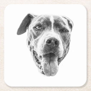 Posavasos Cuadrado De Papel Chilly Dusk Canine Echo