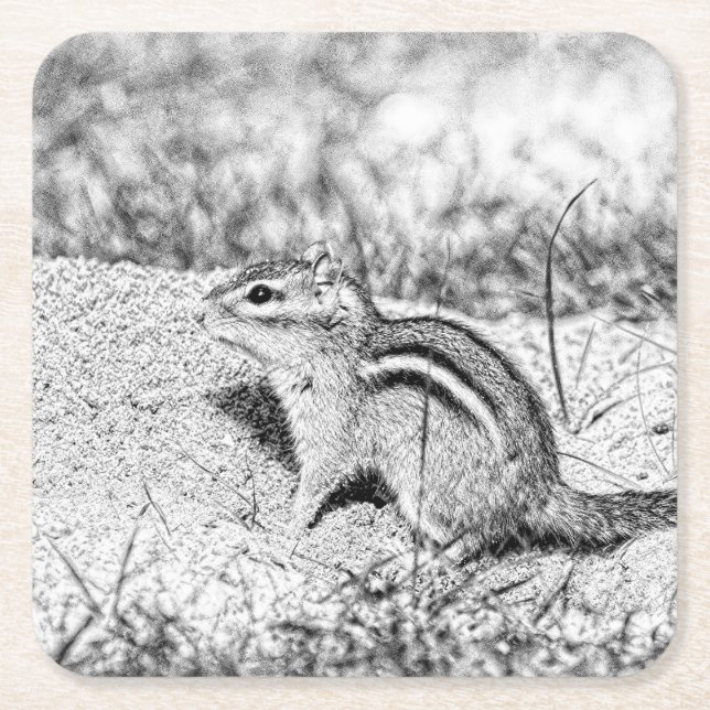 Posavasos Cuadrado De Papel Chipmunk Sketch (Anverso)