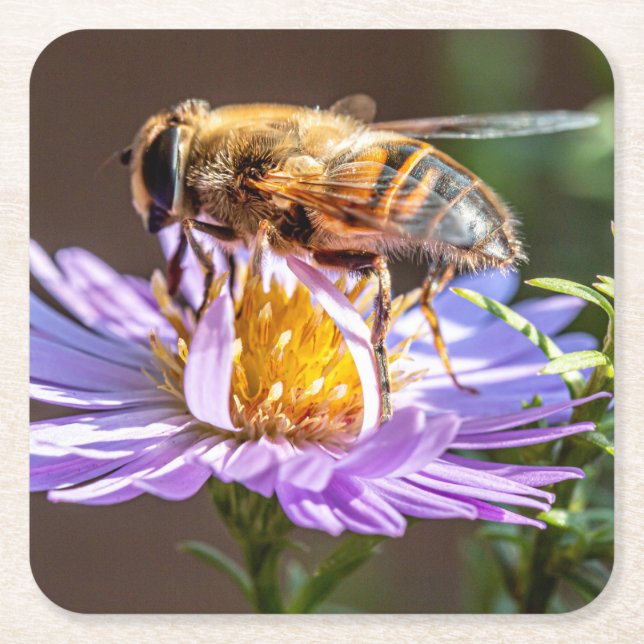Posavasos Cuadrado De Papel Cierre de una abeja en una flor morada (Anverso)
